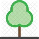 Nature Foret Plante Icon