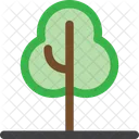 Nature Foret Plante Icon