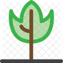 Nature Foret Plante Icon