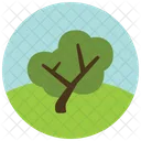 Arbre Verdure Icon