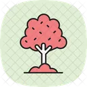 Arbre Avec Paillis Icône