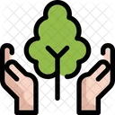 Arbre Ecologie Enregistrer Icon