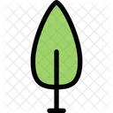 Arbre Ecologie Eco Icon