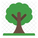 Arbre Icon