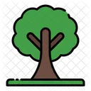 Arbre Icon