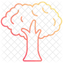 Arbre Nature Plante Icône