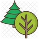 Arbres Feuillus Coniferes Icon