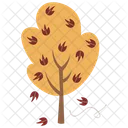 Arce Otono Arbol Icon