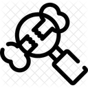 Archaeology Study Artifacts Icon