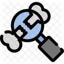 Archaeology Study Artifacts Icon