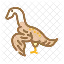 Archaeopteryx Dinosaur Animal Icon