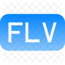 Archivo Flv Datos Icon