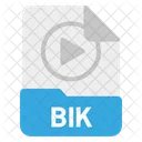 Archivo BIK  Icono