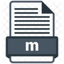 M Archivo Formato Icon