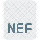 Archivo nef  Icon