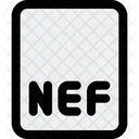 Archivo Nef Archivo De Imagen Archivo De Foto Icono