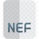 Archivo nef  Icono