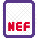 Archivo Nef Archivo De Imagen Archivo De Foto Icono