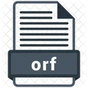 Orf Archivo Formatos Icon