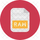 Archivo RAW  Icono