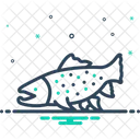 Arctic Fish  Icon