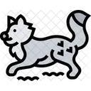 Arctic Fox Fox Vulpes Icon