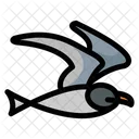 Arctic Tern Bird Animal Icon