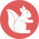 Ardillas Sciuridae Roedores Icon