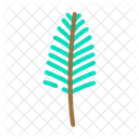Areca Leaf Tropical Tree Palm Icon