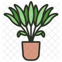 Areca Palm  Icon