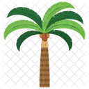 Coconut Areca Beach Icon
