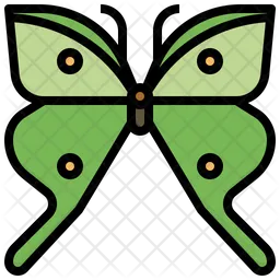 Argemme Papillon  Icon