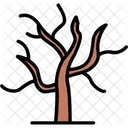 Arid  Icon