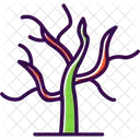 Arid  Icon
