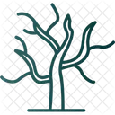 Arid  Icon
