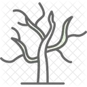 Arid  Icon