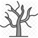 Arid  Icon