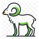 Aries Icon