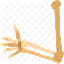 Arm Skeleton Hand Icon