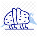 Armadillo Mammal Armor Icon
