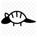 Armadillo Icon