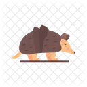 Armadillo Mammal Armor Icon