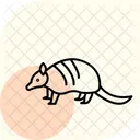 Armadillo Animal Wildlife Icon