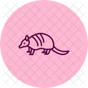 Armadillo Animal Wildlife Icon