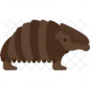 Armadillo  Icon