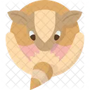 Armadillo  Icon