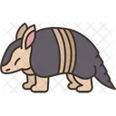 Armadillo  Icon
