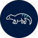 アルマジロトカゲ  アイコン