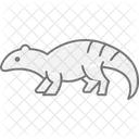 Armadillo lizard  Icon