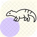 Armadillo Lizard Armadillolizard Reptile Icon